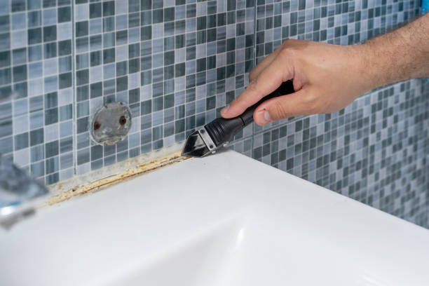 Best Office Mold Removal Services  in Batesville, IN