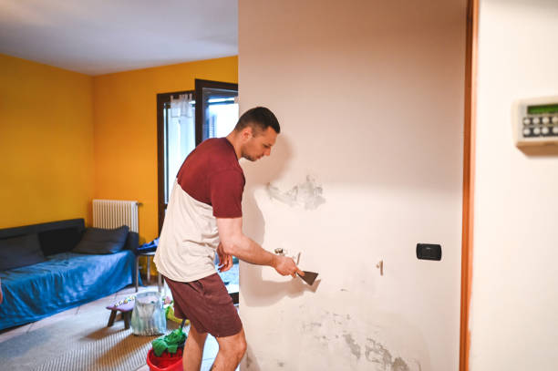 Professional Mold Removal in Batesville, IN